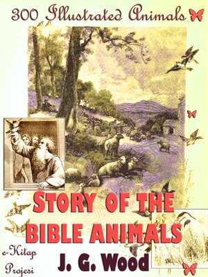 cover image of Story of the Bible Animals